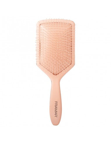 Framar Paddle Brush