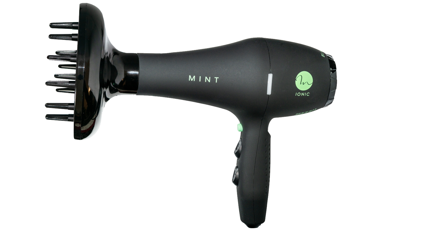 Mint Blackbird Professional Blow Dryer