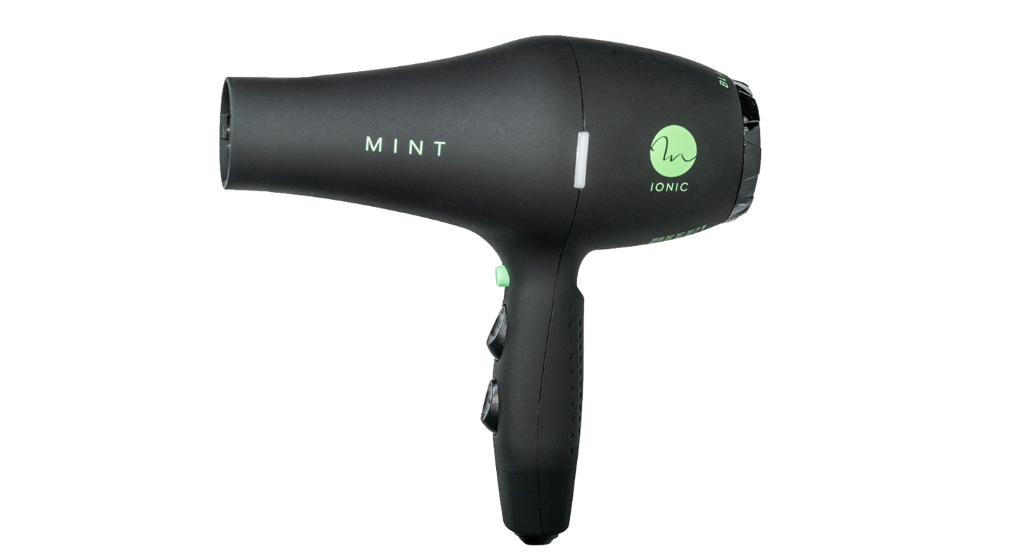 Mint Blackbird Professional Blow Dryer